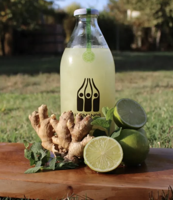 Pisco Sour Artesanal Hermanos Sour MENTA JENGIBRE 1 LT
